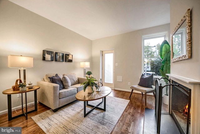 living room featuring wood-type flooring