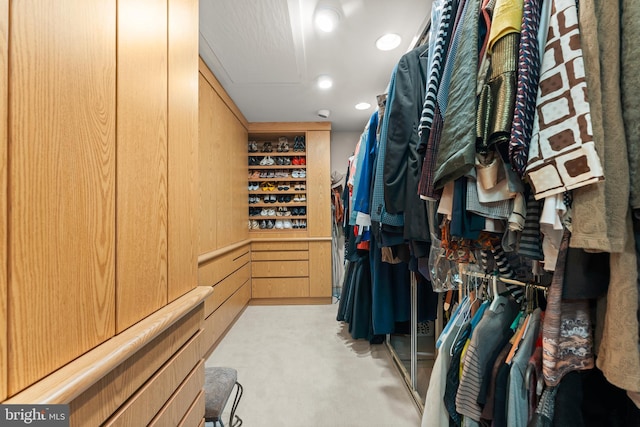 spacious closet with light carpet