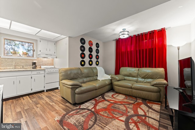 living room featuring light hardwood / wood-style floors and sink