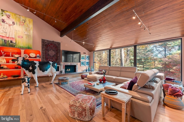 living room featuring plenty of natural light, rail lighting, light wood-type flooring, and wooden ceiling