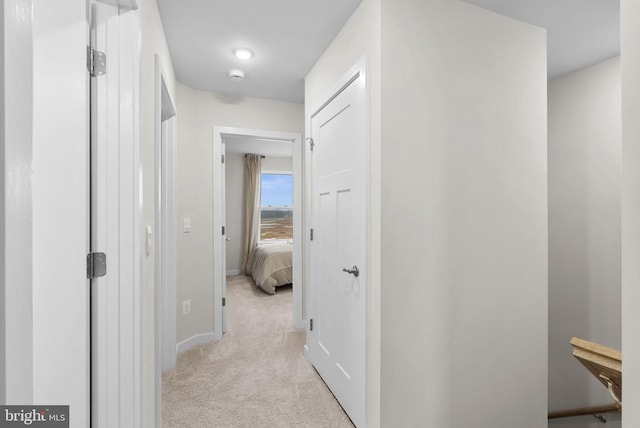 corridor with light colored carpet