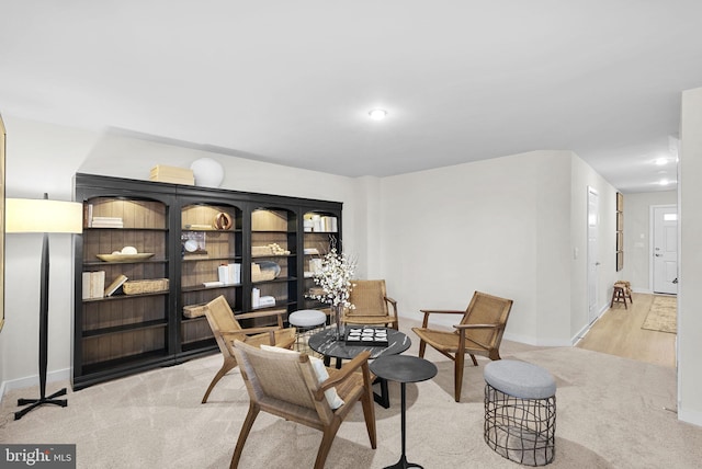 living area with light colored carpet