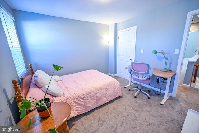 view of carpeted bedroom