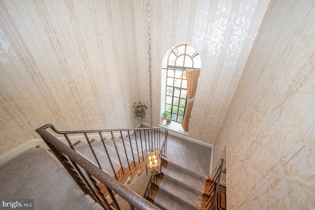 staircase featuring carpet