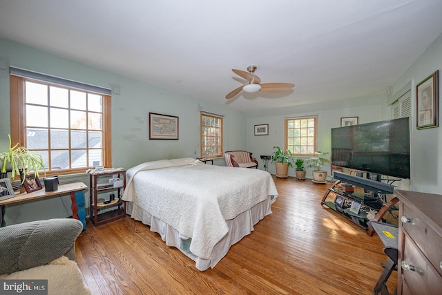 bedroom featuring multiple windows, hardwood / wood-style flooring, and ceiling fan