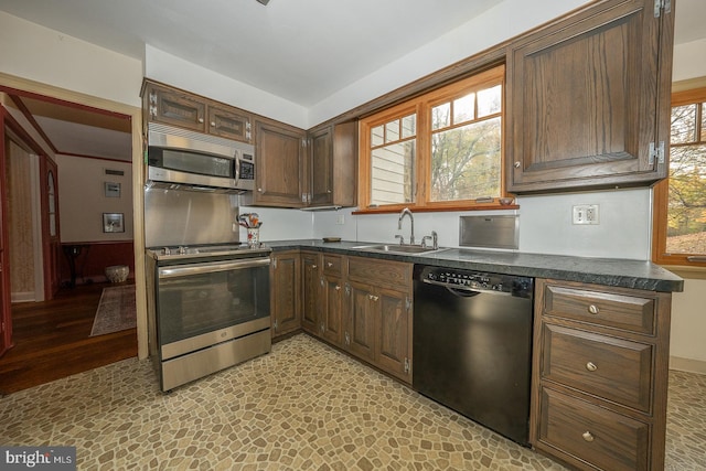 kitchen with stainless steel appliances, dark brown cabinetry, sink, and light wood-type flooring