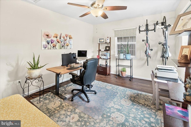 office space featuring dark hardwood / wood-style floors and ceiling fan