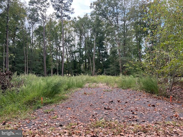 LOT1955 Mayflower Dr, Greenbackville VA, 23356 land for sale