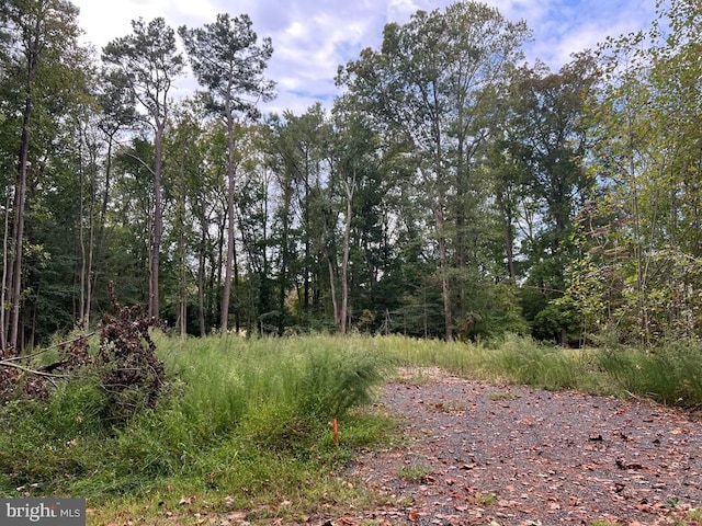 Listing photo 2 for LOT1955 Mayflower Dr, Greenbackville VA 23356