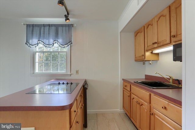 kitchen with black appliances, sink, track lighting, ornamental molding, and light hardwood / wood-style flooring