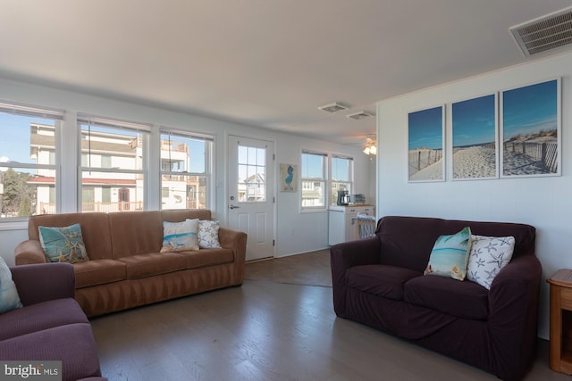 living room with ceiling fan and hardwood / wood-style flooring