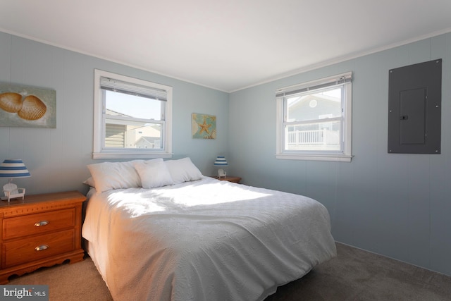 carpeted bedroom featuring electric panel, multiple windows, and ornamental molding