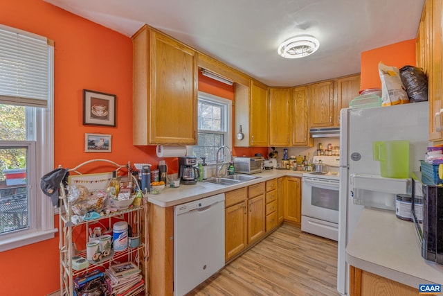 kitchen with sink, light hardwood / wood-style flooring, and white appliances