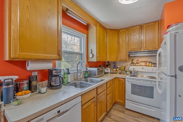 kitchen featuring sink, light wood-type flooring, and white appliances