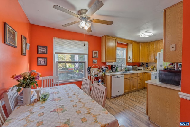 kitchen featuring sink, ceiling fan, dishwasher, and light wood-type flooring