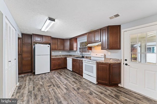 kitchen with dark brown cabinetry, sink, a textured ceiling, white appliances, and dark hardwood / wood-style flooring