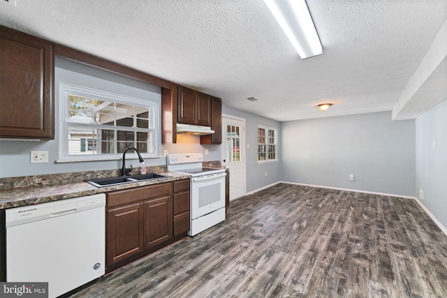 kitchen with dark wood-type flooring, white appliances, sink, and a wealth of natural light