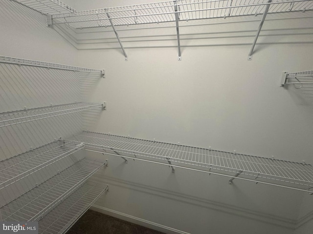 view of walk in closet