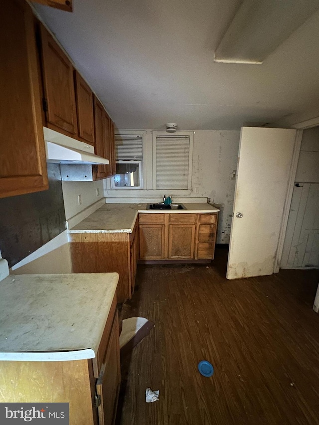 kitchen with dark wood-type flooring and sink