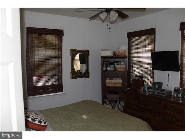 bedroom with ceiling fan