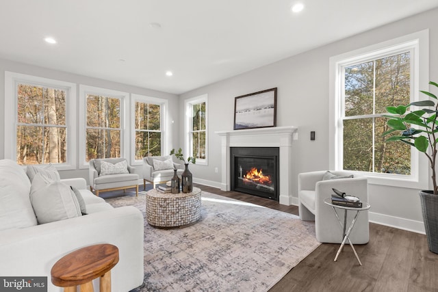 living room featuring plenty of natural light and dark hardwood / wood-style flooring