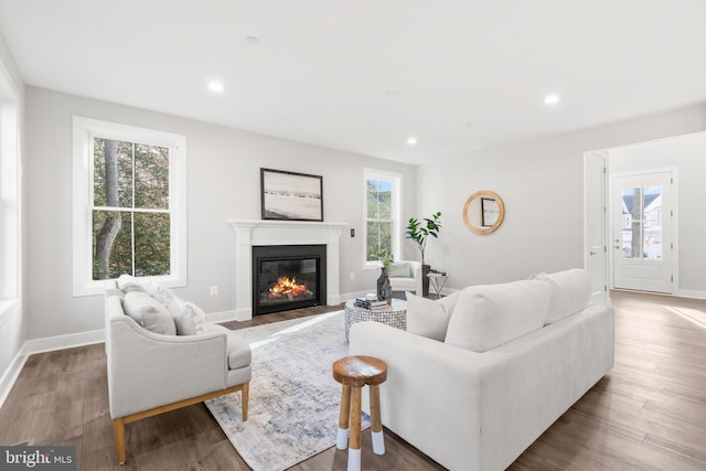 living room with hardwood / wood-style floors