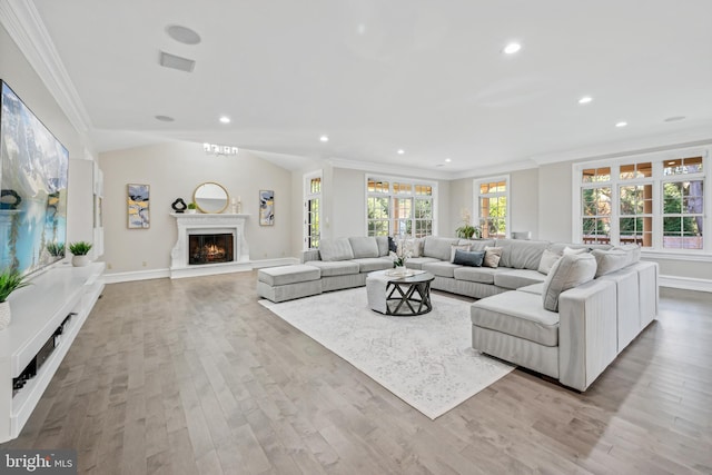 living room featuring light hardwood / wood-style floors and crown molding