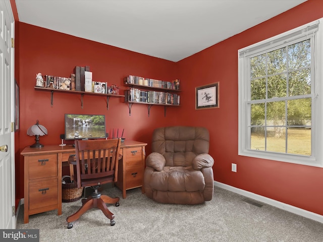 view of carpeted office space