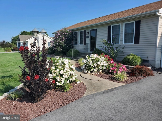 single story home featuring a front yard