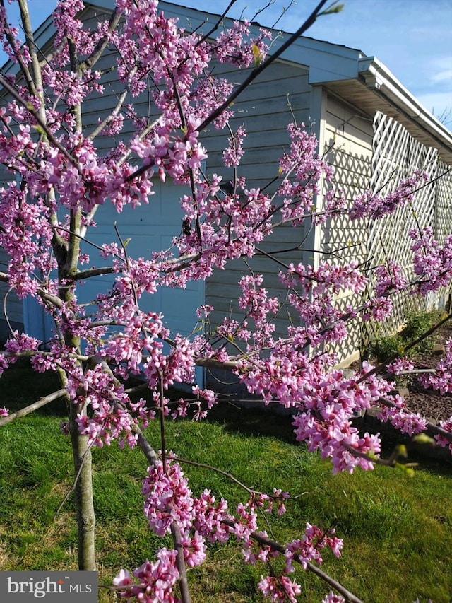 view of home's exterior featuring a lawn