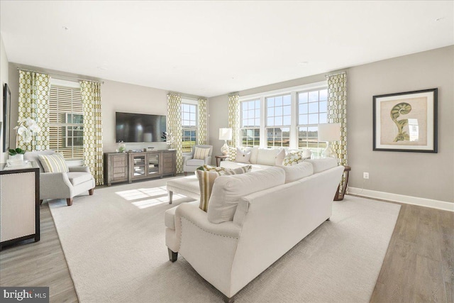 living room featuring light wood-type flooring