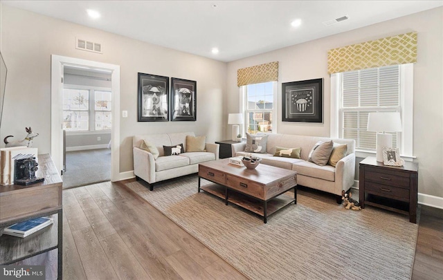 living room featuring light wood-type flooring and a wealth of natural light