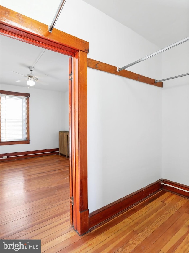 walk in closet featuring hardwood / wood-style floors, ceiling fan, and radiator