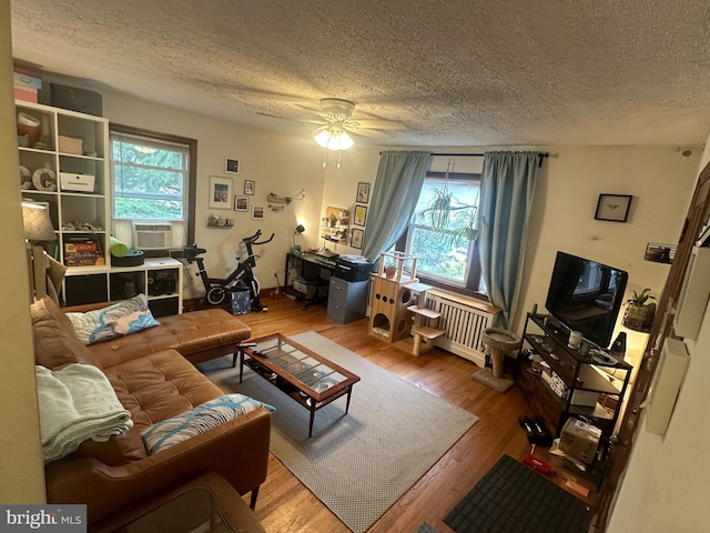 4026 9th St NE, Washington, DC 20017 - living room featuring a textured ceiling, wood finished floors, and radiator heating unit