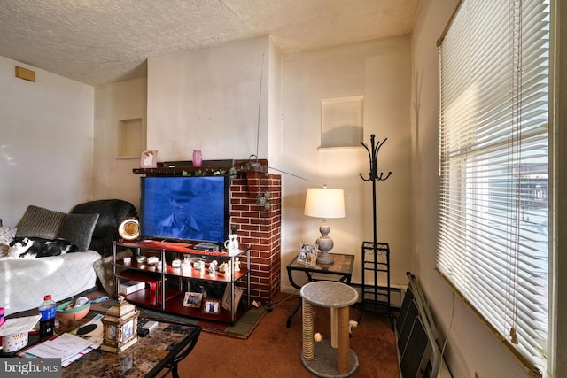 carpeted living room featuring a textured ceiling