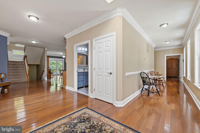 hall featuring hardwood / wood-style floors and crown molding