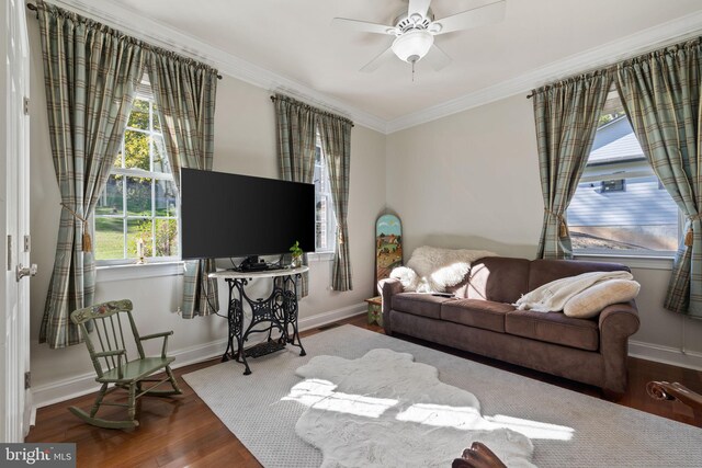 living room with ornamental molding, hardwood / wood-style floors, and ceiling fan