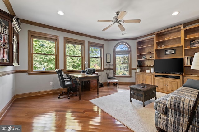 office with ceiling fan, crown molding, and dark hardwood / wood-style floors