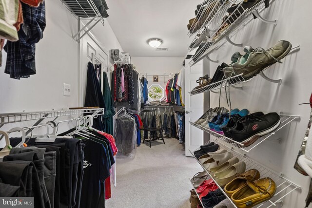 walk in closet with carpet