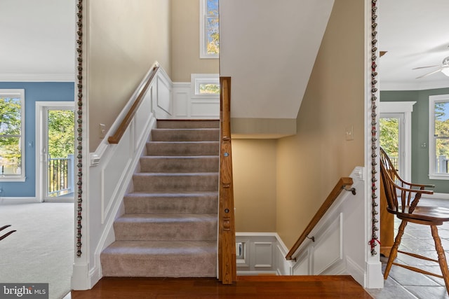 stairs with crown molding, wood-type flooring, and ceiling fan