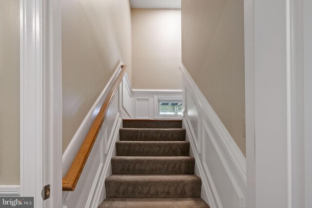 staircase featuring carpet flooring