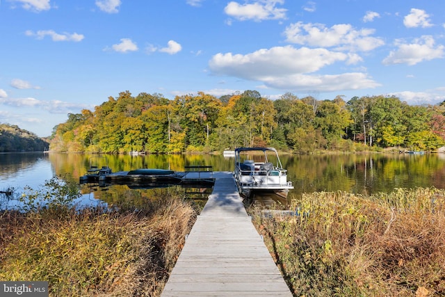 view of dock featuring a water view