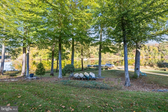 view of property's community with a yard and a water view