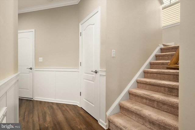 staircase with ornamental molding and wood-type flooring