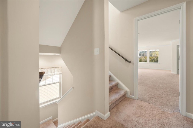 staircase featuring lofted ceiling and carpet flooring