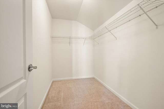 walk in closet with carpet and lofted ceiling