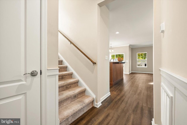 stairs featuring ornamental molding and wood-type flooring