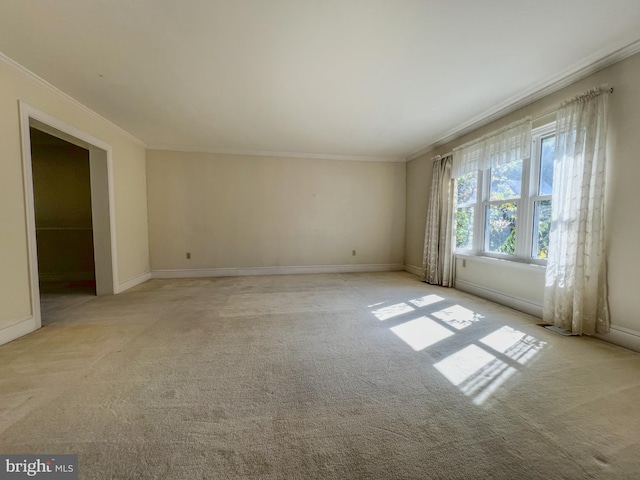 carpeted empty room with crown molding