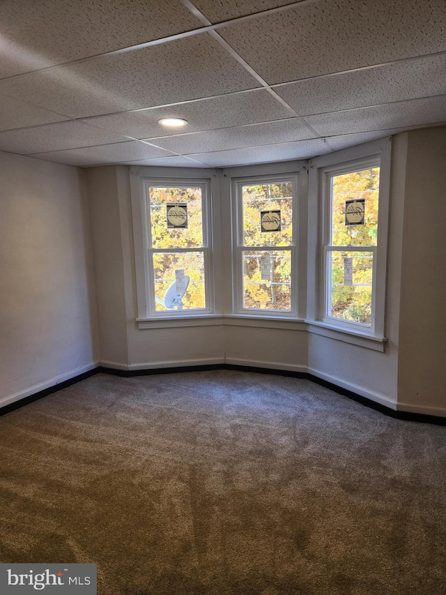 unfurnished room featuring a drop ceiling and carpet