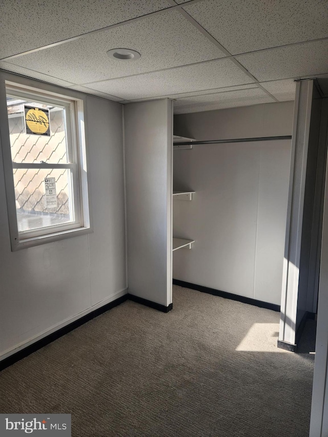 unfurnished bedroom with a paneled ceiling, a closet, and carpet flooring